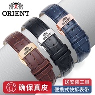 Orient Oriental Double Lion Watch Strap Genuine Leather Men s and Women s Pin Buckle Butterfly Buckle Universal Cowhide