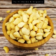 【Yu Yi Herbs】Macadamia Nuts - 200g