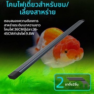 ไฟ Aquarium กระตุ้นสาหร่าย