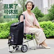 Shopping Trolley Foldable Shopping Cart  Household Grocery Shopping Trolley Vegetable Cart