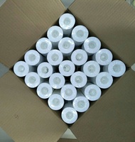 ยกลัง 50 ไส้ 1 ไมครอน ละเอียดสุดๆ ไส้กรองหยาบ pp ไส้กรองน้ำ ขนาด 10 นิ้ว เส้นผ่านศูนย์กลาง 2.5 นิ้ว 