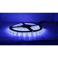 ♞12V SMD3528 led strip light 5 Meters for ceiling cove lighting and interior lights accent