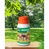 Combo of 2 bottles of Root 2 100ml: Strong roots, 5 times more concentrated