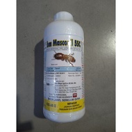 racun serangga racun anai-anai 1 little tahan lama racun cili fipronil bm masconil 5sc