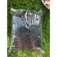 AB Nursery - Baja Kopi (888)