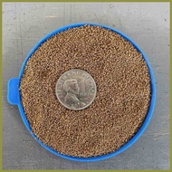 ✙ ❡ ❖ Tateh PO1 & PO2 sinker 4.5kg