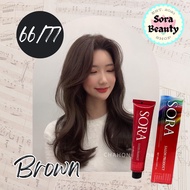 Sora Hair Dye Color in Brown 66/77