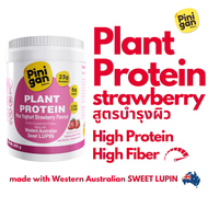 Pinigan High Fiber Plant Protein Powder with Yoghurt Strawberry Flavor Gluten-Free Dairy-Free Soy-Fr