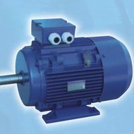 ELECTRIC MOTOR BOLOGNA 2P 0.25HP B3 3PHASE 380V