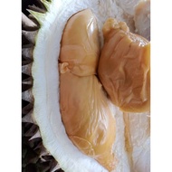 2 packs of D175 Ang Hae/Red Prawn Durian