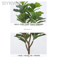 【new】✻Skybird,Banana,Fiddle Fig Artificial Plant