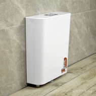 Flush Tank Squat Toilet Tank Toilet Plastic Bathroom White Gold Baisheng Squat Toilet Pure Material 