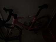 猛男粉 Twitter R10公路單車