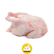 AYAM KARKAS / AYAM BROILER / AYAM UTUH - UKURAN KECIL 0,8-1,0 KG