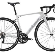 坎普CAMP RADON 公路車 Road Bike