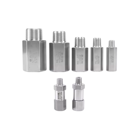 SS304 Check Valve Female to Male 1/8'' 1/4'' 3/8'' 1/2'' 3/4'' 1'' BSPP Thread Stainless One Way Fue