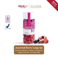 DLanier Assorted Berry Yogurt Chocolate - 300 gr (Large Jar)
