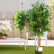 Artificial plant, tree with natural logs, for home decoration, bamboo, Ficus, Wisteria, olive, eucal