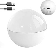 3D Ultrasound Crystal, Personalized Ultrasound Globe Digital Photo Album, Crystal Ball Digital Video