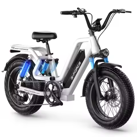 G-FORCE RS ST Electric Bike, 750W Motor, 48V 15.6Ah Battery, 20*4 Inch Big Tire City Electric Bike w