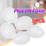 5 pcs Pigeon Plastic solid eggs Simulation Bird Eggs Fake Pigeon egg Aviculture Tools