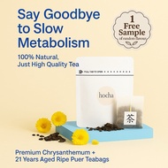 Hocha Metabolism Booster | 21 Years Puer + Chrysanthemum | Gut Health, Digestion & Detox | 10 Teabag