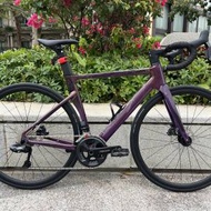 電變款 JAVA SILURO 6 TOP 魚雷6 電變24...