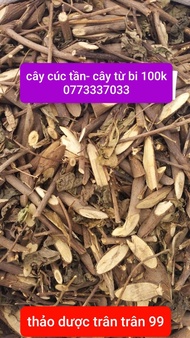 cây cúc tần- từ bi phơi khô 1kg