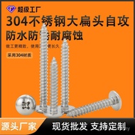 Stainless Steel Screw M3.9 M4.8 Screw Large Flat Head Screw 304 Self-Tapping Phillips Self-Tapping S