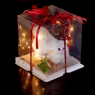 Kim Vinh Decor Standing Cat Model Gift Box Meaningful Gifts for March 8, Birthday, Valentine's Day, 