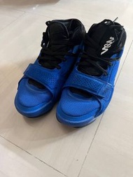 Jordan Zion 2 hyper royal us10 used