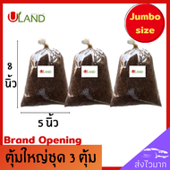 Uland ตุ้มตอนกิ่งผสมน้ำยาเร่งราก จัมโบ้ 3 ตุ้ม ถุงขนาด 5*8 นิ้ว พร้อมใช้ทันที ตุ้มตอนกิ่ง ตุ้มตอนกิ่