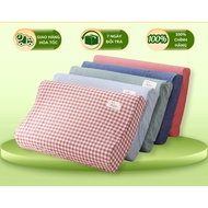 High quality adult latex pillow with pillow case size 30x50cm (color selection)