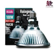 ARCADIA - ARCADIA 燈泡 - 鹵素日光燈泡 100W (011206)