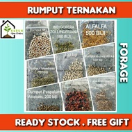 BIJI BENIH ALFALFA, INDIGOFERA, SEF, RUMPUT, MOMBASA, RUZI, GUINEA, ATRATUM, STYLO HAMATA, SWEET JUM