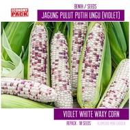 Benih / Seed : Jagung Pulut Putih Ungu (Violet White Waxy Corn)repack : 10 benih 🟪