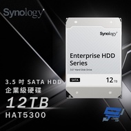 Changyun Monitor Synology HAT5300-12T 12TB 3.5 Inch Enterprise Hard Drive SATA HDD