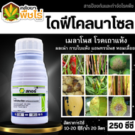 🌽 สกอร์ (ไดฟีโนโคลนาโซล) 250ซีซี ป้องกันกำจัดโรคพืชราสนิมขาว