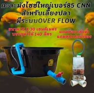 อ่างเลี้ยงปลาขนาดใหญ่แถมท่อกาลักน้ำแถมซุปเปอร์กรอง ระบบOver Flow 75x30 ซ. บรรจุน้ำได้140ลิตร ท่อฟ้าม