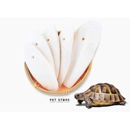 Cuttlefish Bone Reptile Tortoise Turtle Isopod Calcium Supplement Natural Cuttle fish bone cuttlebon