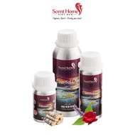 Tinh dầu Scent Homes - mùi hương (Creed Aventus)