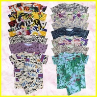 Trendy Terno Pajama Pambahay Adult Pantulog Dye Printed Assorted Cotton Spandex for Women