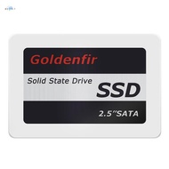 Goldenfir Solid State Drive Computer Hard Disk Hard Disk