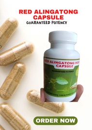 Red Alingatong Roots Capsule 100Capsules