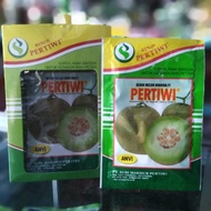 Terlaris Benih Tanaman Melon Pertiwi ANVI - Bibit Tumbuhan Buah