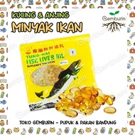 Cod Fish Oil 500 Capsules Vitamins for Dogs and Cats Tunghai/ Fish Oil with Good Shiny Fur Fish Live