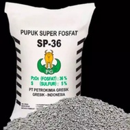 pupuk TSP SP36 500GR