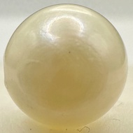 a1557 Akoya Pearl Loose Through-drilled 7.5–7.9mm Gem Jewelry Pre-owned Kyoto Japan K4U