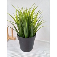 FEJKA ARTIFICIAL PLANT | Fast shipping | Secure packaging