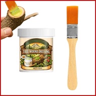 Tree Wound Sealant 150g Protective Sealant Tree Repair Sealer for Grafting Garden Plant Shrub Stump 